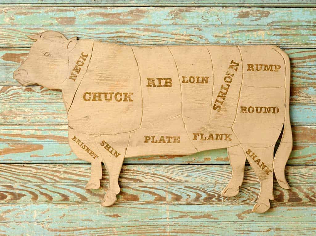 Cow chart showing cuts of beef