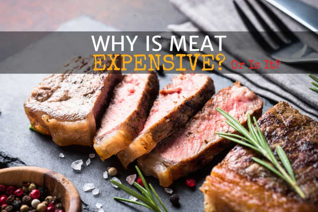 Why is meat expensive?