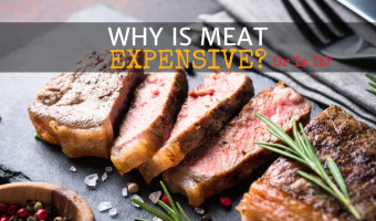 Why is meat expensive?